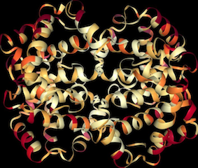 3 công trình nghiên cứu ấn tượng, đột phá của học giả Việt năm 2017 ảnh 2