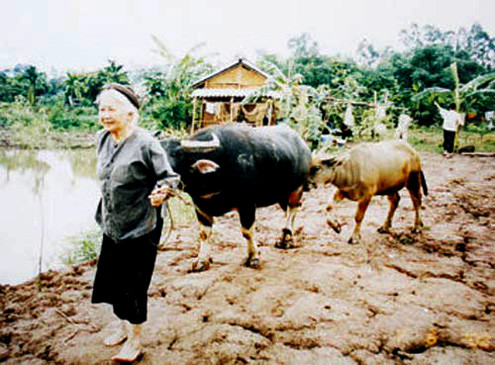 NSƯT Thu An trong phim 