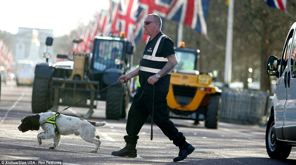 Chó nghiệp vụ cũng tham gia làm nhiệm vụ trong cuộc thi marathon London 2013