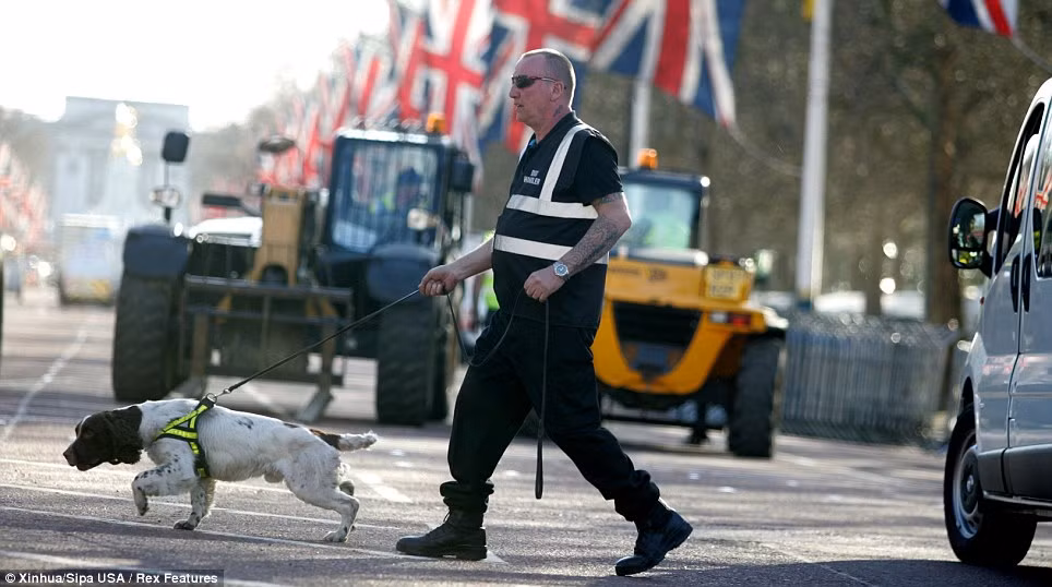 Chó nghiệp vụ cũng tham gia làm nhiệm vụ trong cuộc thi marathon London 2013