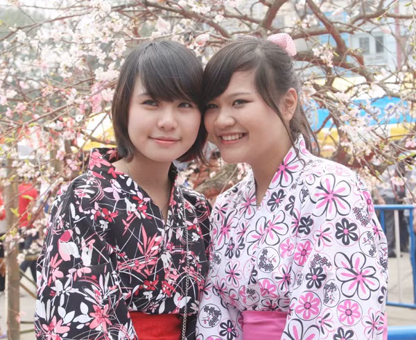 Rạng rỡ như những bông hoa anh đào của xứ sở Mặt trời mọc