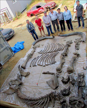 Bộ xương 126.000 năm tuổi khiến giới khoa học 'mất ăn mất ngủ' ảnh 3