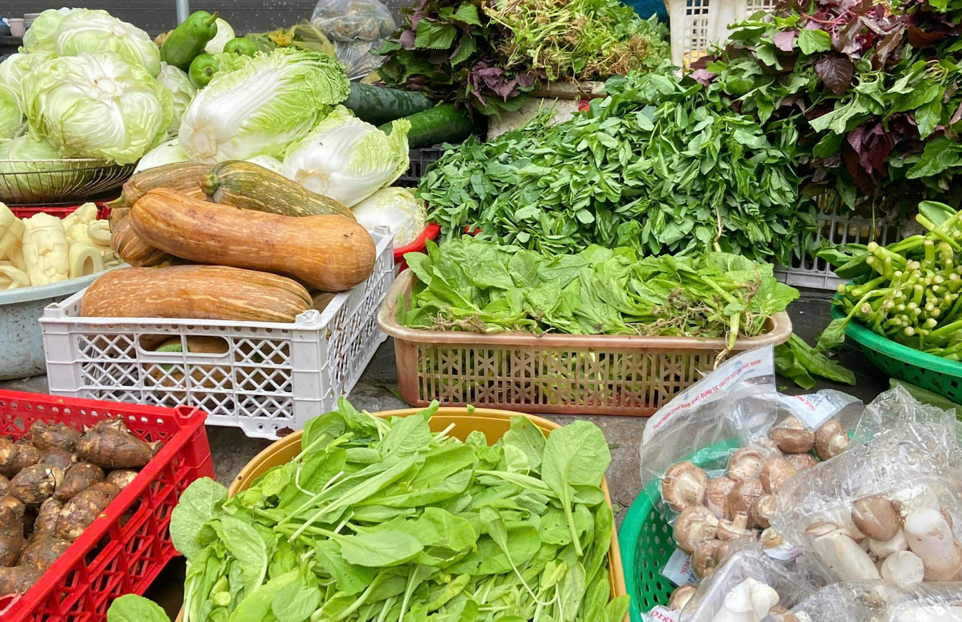 Thủ tướng yêu cầu tăng cường công tác cung ứng hàng hóa thiết yếu phục vụ nhân dân các địa phương bị ảnh hưởng của cơn bão số 3. Ảnh minh họa: Lâm Thùy Dương. Thủ tướng yêu cầu tăng cường công tác cung ứng hàng hóa thiết yếu phục vụ nhân dân các địa phương bị ảnh hưởng của cơn bão số 3. Ảnh minh họa: Lâm Thùy Dương.