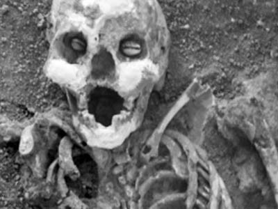 Hai con ốc đặt trong hốc mắt người chết