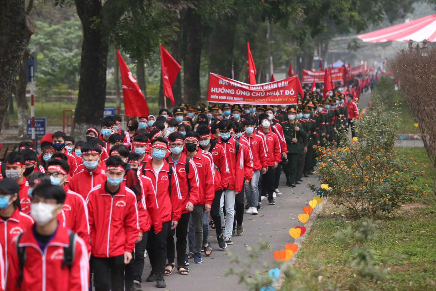 Giọt máu ấm giữa ngày đông lạnh ảnh 74