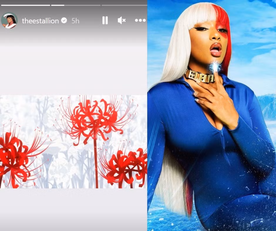 Megan Thee Stallion cũng bắt trend "bỉ ngạn đỏ" luôn rồi.