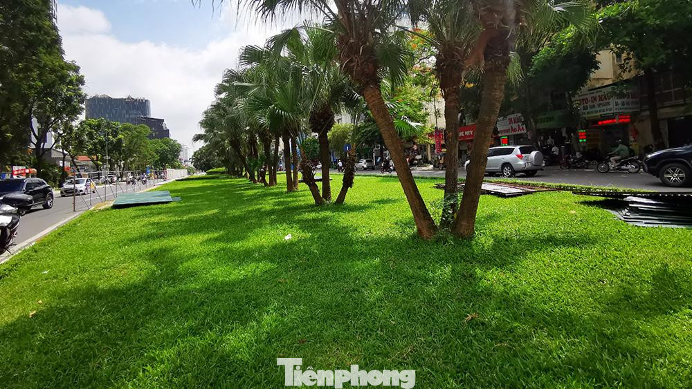 Với giải phân cách giữa đường lớn, với nhiều cây xanh mát. Với giải phân cách giữa đường lớn, với nhiều cây xanh mát.