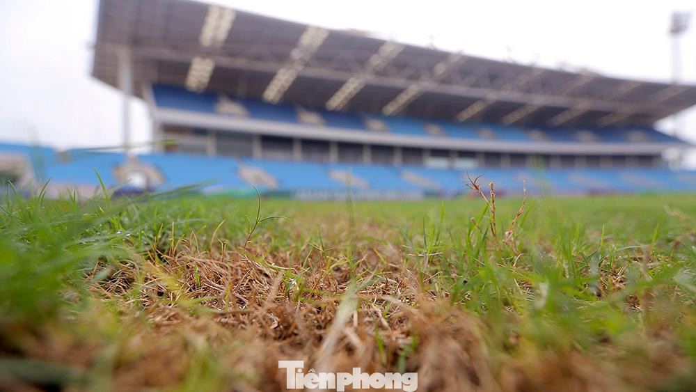 Đặc biệt, nhiều khu vực trên bề mặt sân đấu, cỏ đã chết khô sau thời gian dài không được thay thế, chăm sóc kỹ.