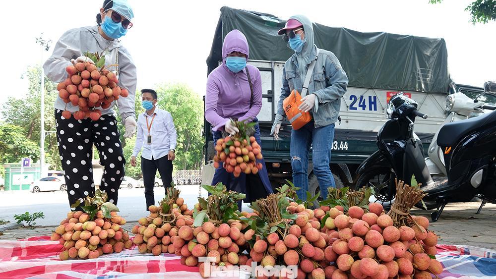 Từ Bắc Giang ra tới Hà Nội, xe vận chuyển vải còn trải qua 3 - 4 trạm kiểm dịch Covid-19 để phun khử khuẩn cho phương tiện cũng như test nhanh Covid-19 đối với lái xe, người vận chuyển, làm sao đảm bảo an toàn cao nhất cho cả người mua và người bán vải.