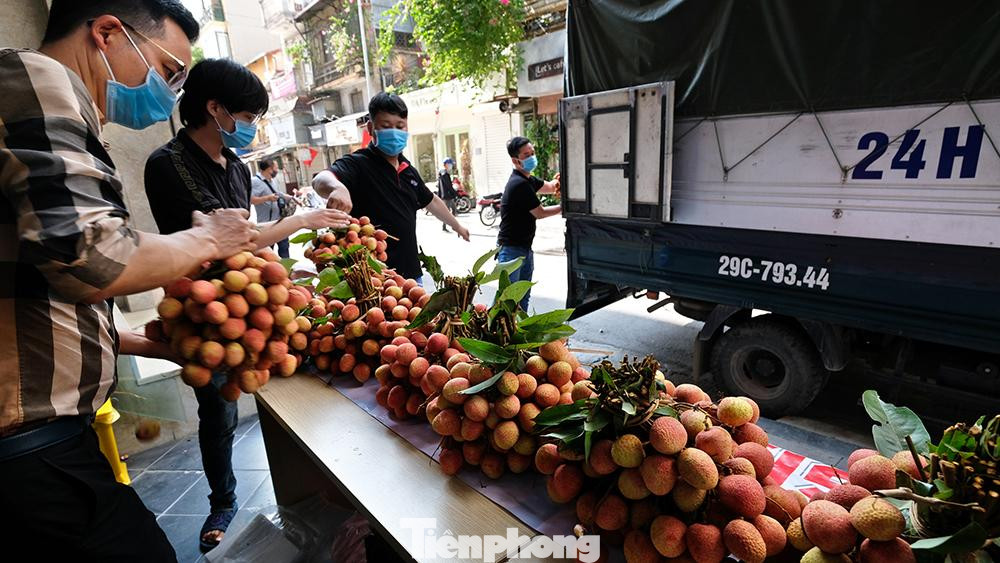Đây là hoạt động của một nhóm những người Bắc Giang hiện đang sinh sống tại Hà Nội đứng ra tổ chức để ủng hộ người dân trong vùng sản xuất vải thiều giữa tình hình dịch Covid-19 diễn biến phức tạp.
