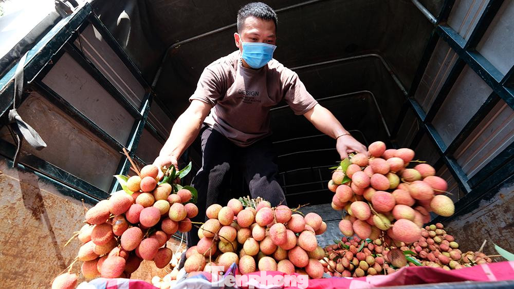 Chiều 29/5, tại Hà Nội có khoảng 10 điểm bán vải Bắc Giang rải rác tại phố Trần Quốc Toản, phố Trần Quang Diệu, cổng công viên Thống Nhất, công viên Hòa Bình, công viên Nghĩa Đô...