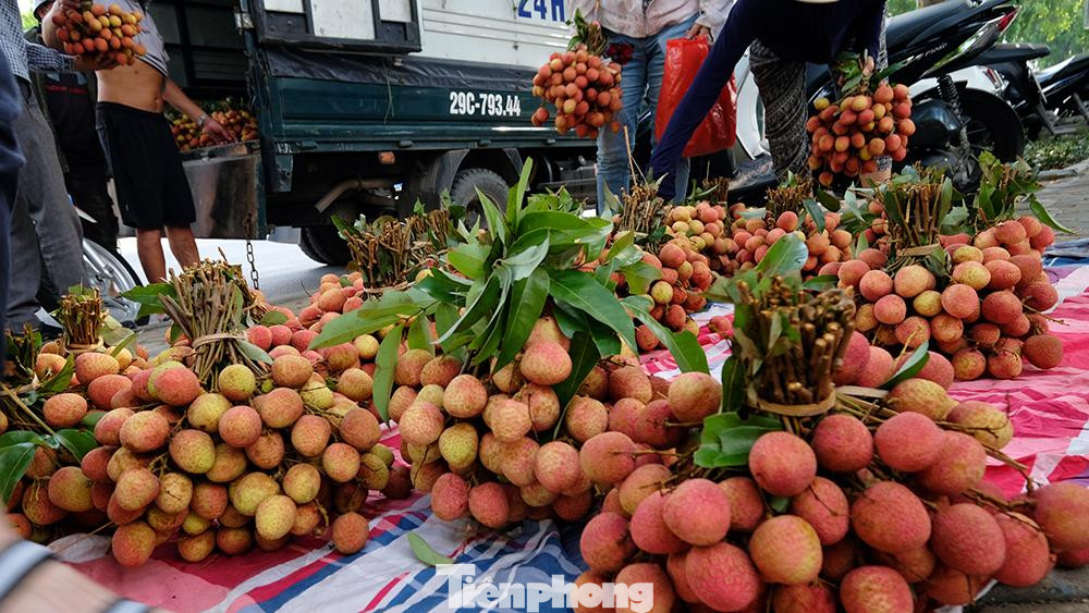 Xấu nhất là kịch bản 3, dịch COVID-19 ảnh hưởng toàn diện, hoạt động xuất khẩu nhỏ giọt, sản lượng vải chủ yếu tiêu thụ nội địa. Lúc này, Bắc Giang sẽ tập trung mọi nguồn lực, cả hệ thống chính trị chung tay vào cuộc hỗ trợ, giúp người dân từ công tác thu hoạch, chế biến và tiêu thụ vải thiều. Ước tính với kịch bản này, sản lượng vải thiều chủ yếu được tiêu thụ trong nước, chiếm 90%, khoảng 160.000 tấn; xuất khẩu 10%, khoảng 20.000 tấn.