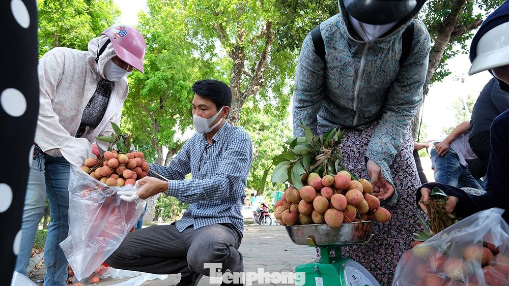Theo UBND tỉnh Bắc Giang, năm 2021, diện tích thiều trên địa bàn tỉnh là 28.100ha, sản lượng ước đạt 180.000 tấn. Đến sáng 29/5, tỉnh này cũng ghi nhận 1.881 ca mắc COVID-19 với nhiều địa phương bị phong tỏa, cách ly.