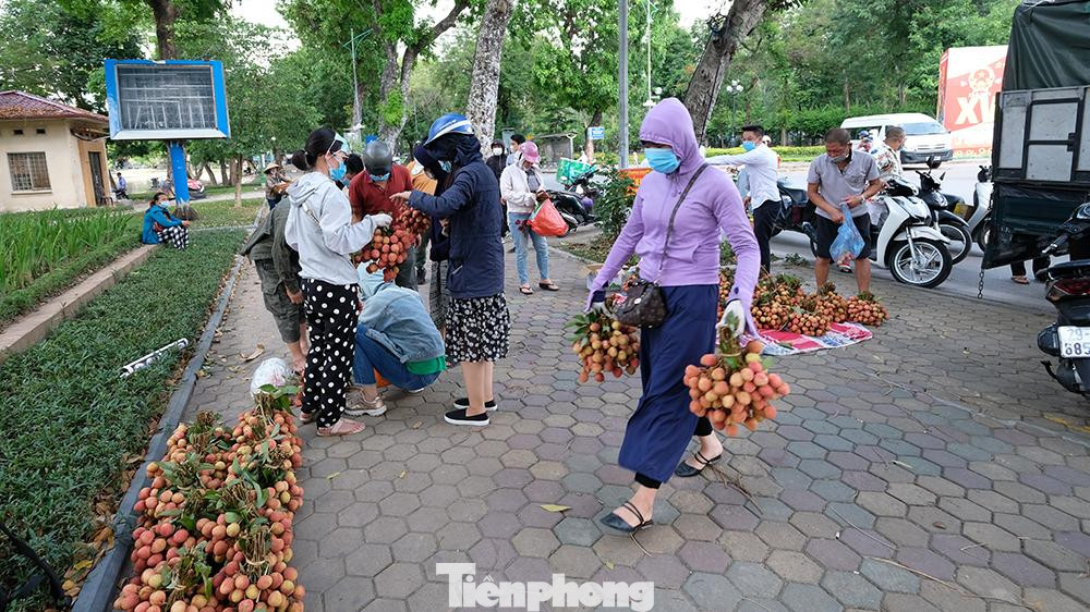 Nhiều người tiêu dùng dừng xe mua vải cho biết, vải tươi và ngon, giá 20.000 đồng/kg là rất hợp lý nên tranh thủ mua vài kg vừa để ủng hộ người dân Bắc Giang, vừa để cả gia đình cùng thưởng thức đặc sản đầu mùa.