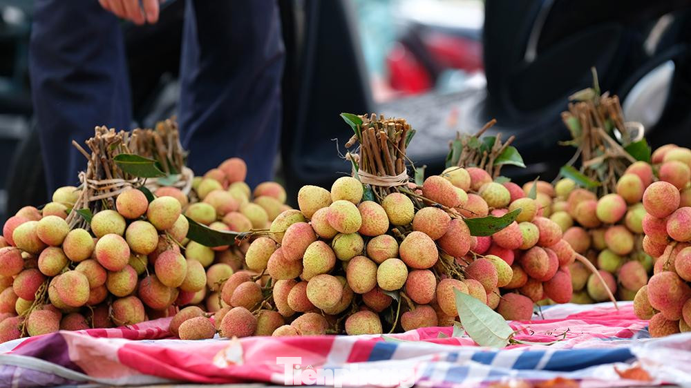 Năm ngoái, vụ vải ở Bắc Giang ước đạt 7.000 tỷ đồng. Năm 2021 được mùa hơn nhưng trong bối cảnh dịch bệnh phức tạp, chính quyền, người dân đang chuẩn bị kỹ các phương án để tiêu thụ sản phẩm này một cách hiệu quả.