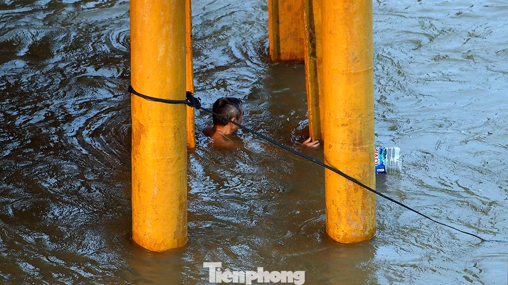Bơi ra trụ cầu Long Biên dù đã có lệnh cấm.