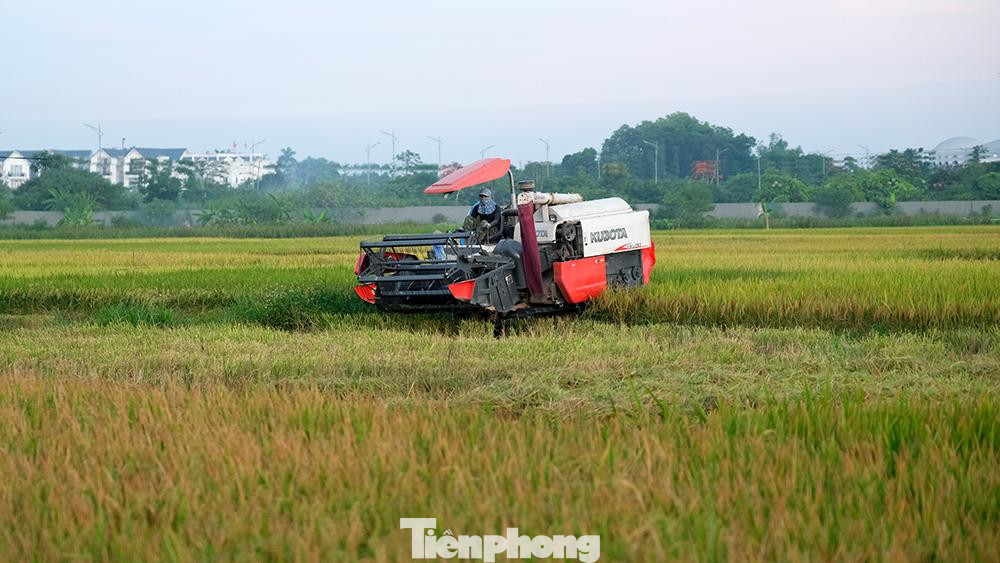 Với sự hỗ trợ bởi máy móc, người nông dân giờ đây đã bớt đi phần nào sự nhọc nhằn vốn có của nông nghiệp lúa nước.