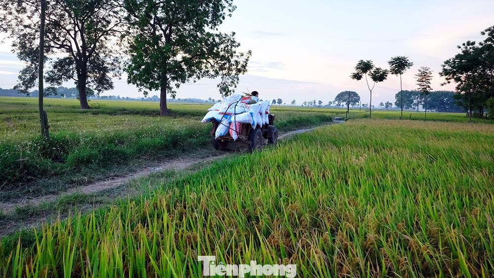 Việc áp dụng khoa học kỹ thuật vào canh tác nông nghiệp đã khiến cho người nông dân được giải phóng sức lao động, giờ về các vùng quê sẽ ít khi bắt gặp được cảnh gặt lúa bằng liềm và tuốt lúa thủ công như trước kia.