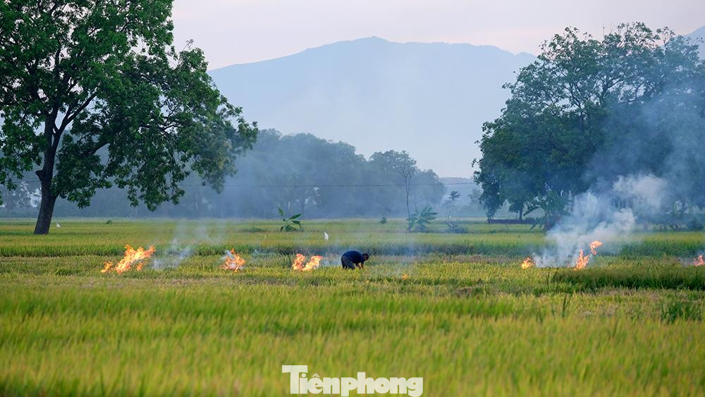 Nhiều gia đình thực hiện đốt rơm ngay tại ruộng, trước kia việc làm này khiến cảnh khói bụi mịt mù khắp nơi, thậm chí bao phủ cả bầu trời Hà Nội và nay đã giảm đi nhiều phần.