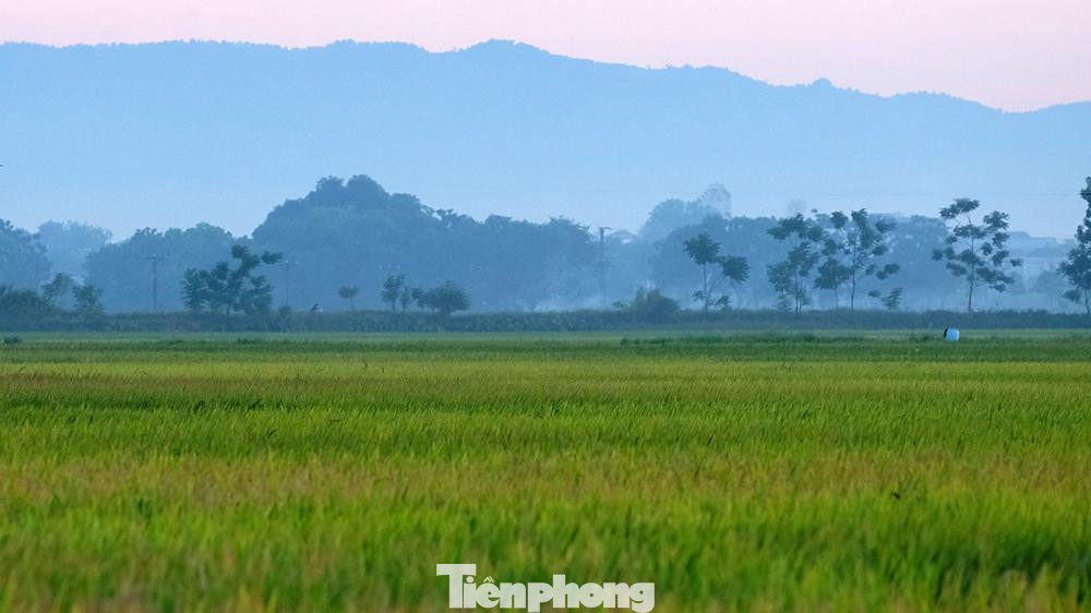 Cánh đồng vùng quê rộng lớn, mênh mông ngút tầm mắt kết hợp cùng dãy núi Ba Vì xa xa tạo nên cảnh sắc ấn tượng vô cùng lãng mạn.