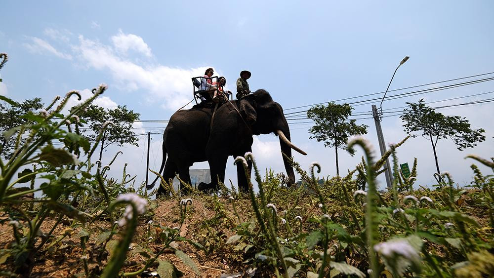 Xung quanh hồ còn có những kiến trúc lịch sử như biệt điện của hoàng đế Bảo Đại, nhà dài của người M'Nông.