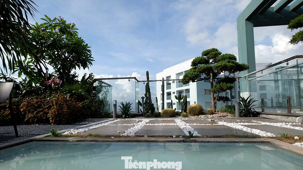 Tại khu vực sân chính vuông vắn dành cho những bữa tiệc BBQ, anh Tùng dành diện tích cho hồ cá Koi và những khu vườn thủy canh thẳng đứng.