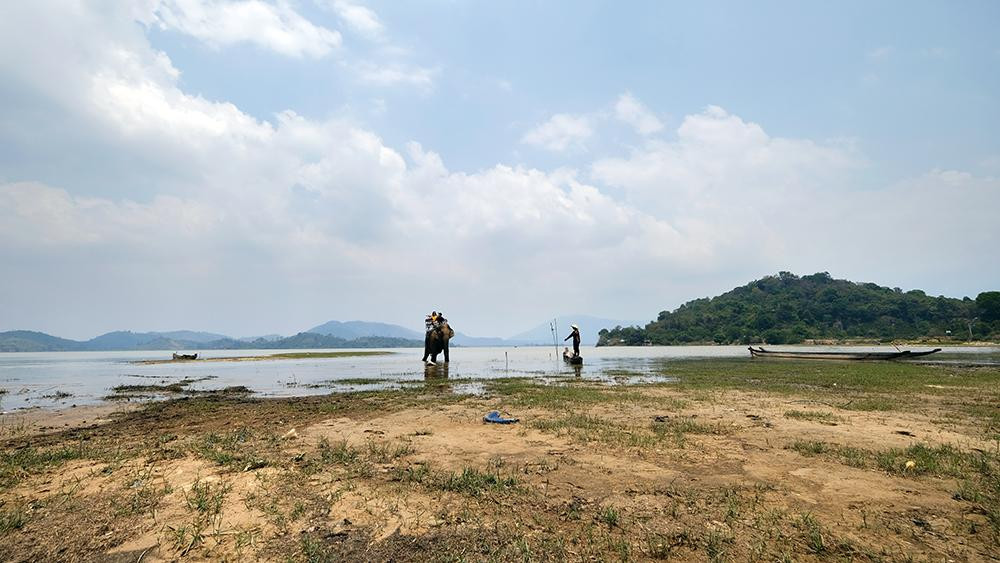 Hiện nay, chỉ còn khoảng chục con voi ở ven hồ Lắk phục vụ du khách. Các chú voi ở đây đều được bắt từ rừng từ khi còn bé. Đến nay, có con voi đã 30 – 40 tuổi.