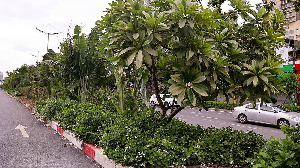 Tuy nhiên, những ngày gần đây, tuyến đường lại đang bị "cày xới" ngổn ngang để làm dự án khác.