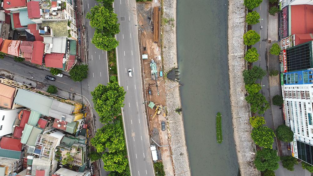 Đối với cây bóng mát nhưng không đủ điều kiện trồng lại trên các tuyến phố và các cây hoa sữa, BQLDA dịch chuyển tại các vị trí trống tại dải đất bên bờ phải sông Tô Lịch, chạy theo đường Kim Giang để tăng mật độ cây xanh.