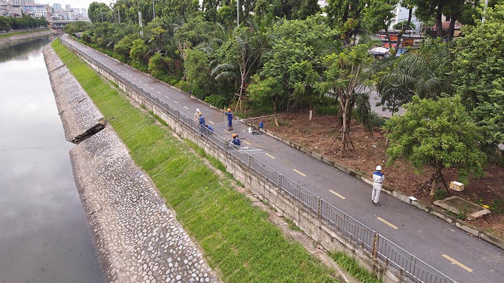 "Toàn bộ các cây xanh đô thị đủ điều kiện trồng lại sẽ được đưa về vườn ươm chăm sóc và trồng hoàn trả sau khi thi công xong cống", đại diện BQLDA khẳng định.