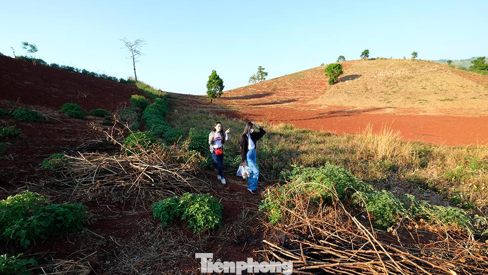 Đây là thời điểm lý tưởng cho những ai yêu thiên nhiên, thích khám phá, ưa tìm kiếm những nét đẹp hoang sơ, tinh khiết và quyến rũ của vùng đất đại ngàn Tây Nguyên.