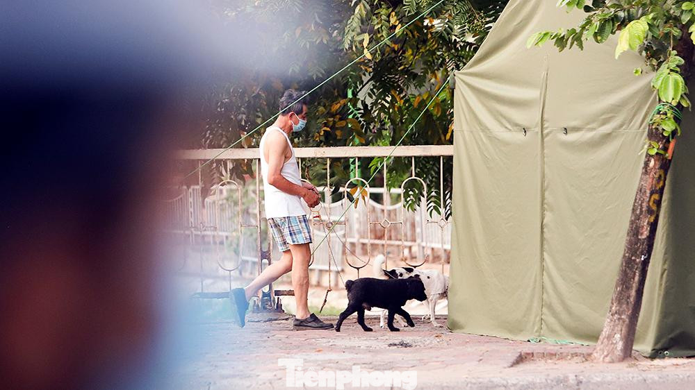 Hay dắt chó đi dạo buổi sáng trên đường Hoàng Quốc Việt (quận Cầu Giấy).