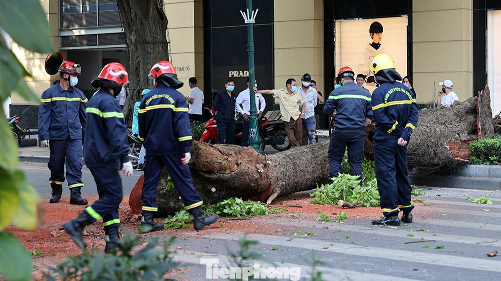 Tiếp nhận thông tin, Công an quận Hoàn Kiếm đã điều động lực lượng Cứu hộ Cứu nạn cùng cán bộ chiến sĩ nhanh chóng đến hiện trường giải quyết sự cố.