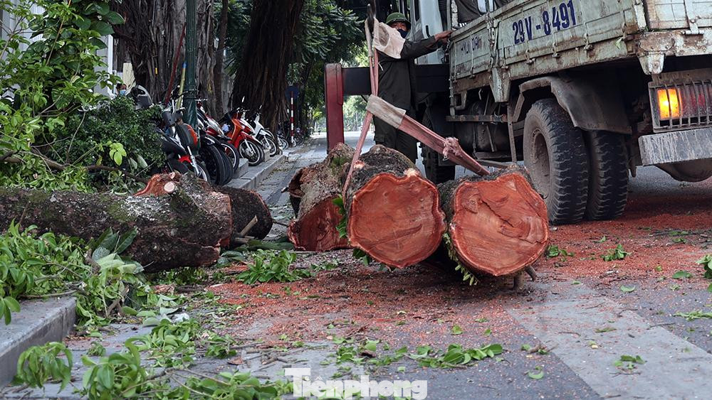 Công nhân cây xanh khẩn trương dọn dẹp trả lại lưu thông cho đường phố ngày cuối tuần.