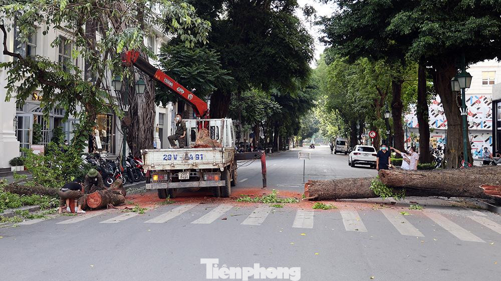 Sự cố cây đổ chắn ngang phố Lý Thái Tổ khiến phương tiện không thể lưu thông qua đây.