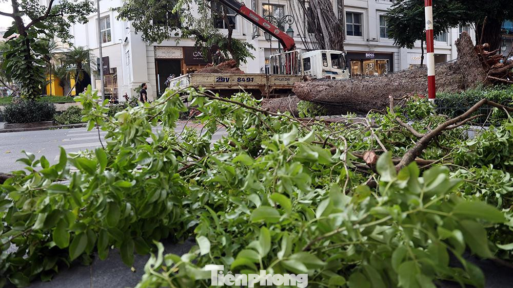 Do đó không có thiệt hại về người cũng như phương tiện.