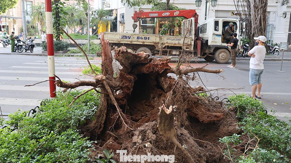 Nguyên nhân được làm rõ là cây si lâu năm bị mục rỗng gốc, rất may hôm nay là ngày thứ Bảy nên khu vực này không có bãi gửi xe và ít người qua lại.