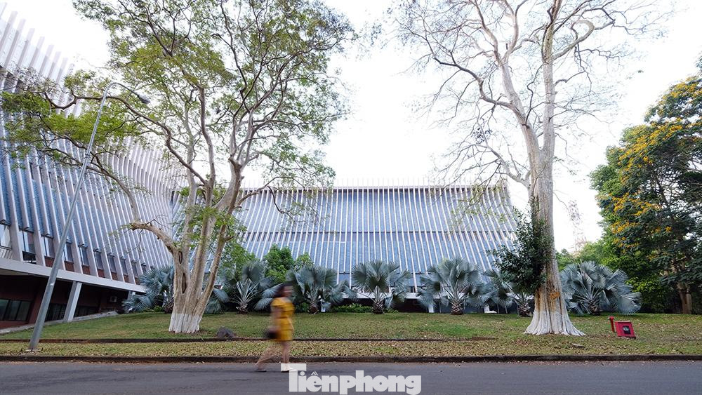 Bảo tàng Đắk Lắk mô phỏng ngôi nhà đậm chất truyền thống của dân tộc Ê đê.