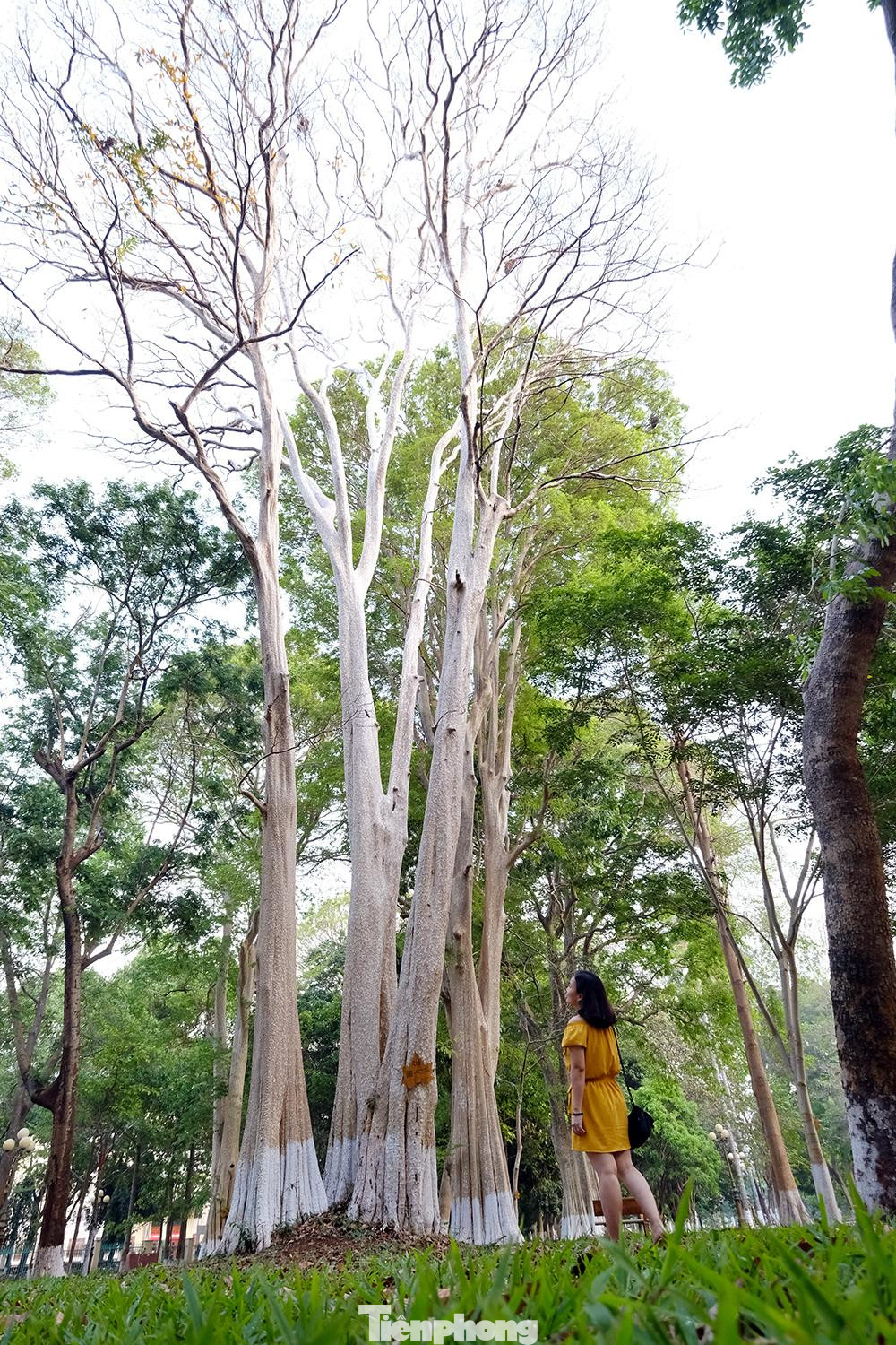 Đây là nơi lý tưởng để check in với bất cứ bạn trẻ nào đến Buôn Ma Thuột trong dịp nghỉ lễ này.