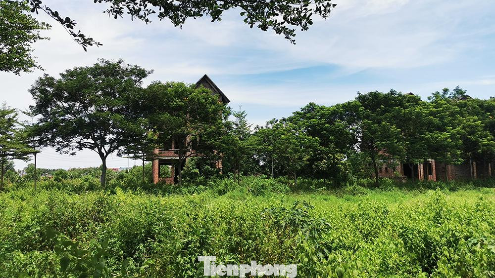 Tuy nhiên hình ảnh thường thấy ở dự án này là một cảnh tượng hoang hóa, xuống cấp. Cỏ cây mọc um tùm.