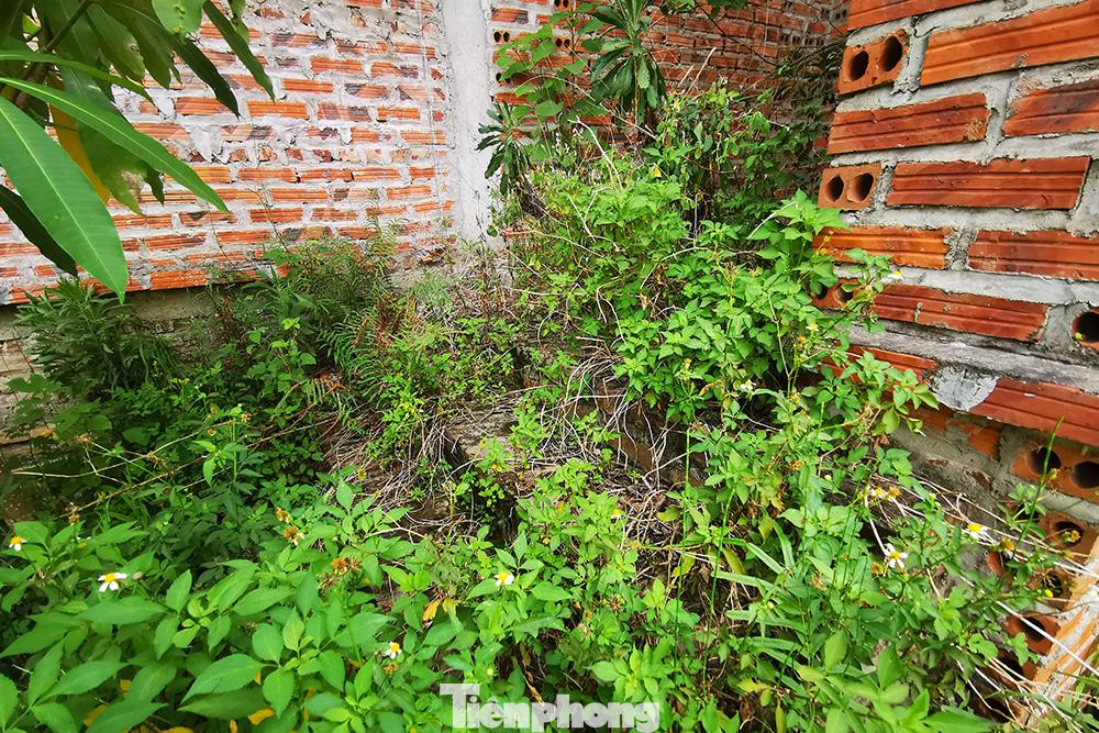 Bậc thang lối vào căn biệt thự bị cỏ mọc bịt lối đi.