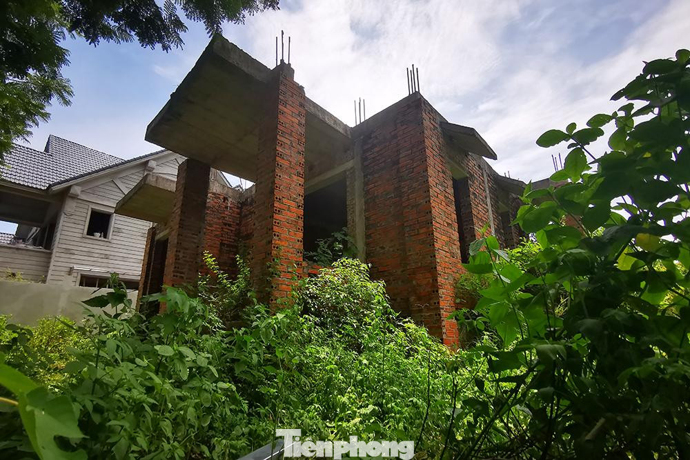 Cỏ dại mọc cao ngang đầu người, bủa vây các căn biệt thự mới xây xong phần thô và bỏ hoang hóa hơn chục năm nay.