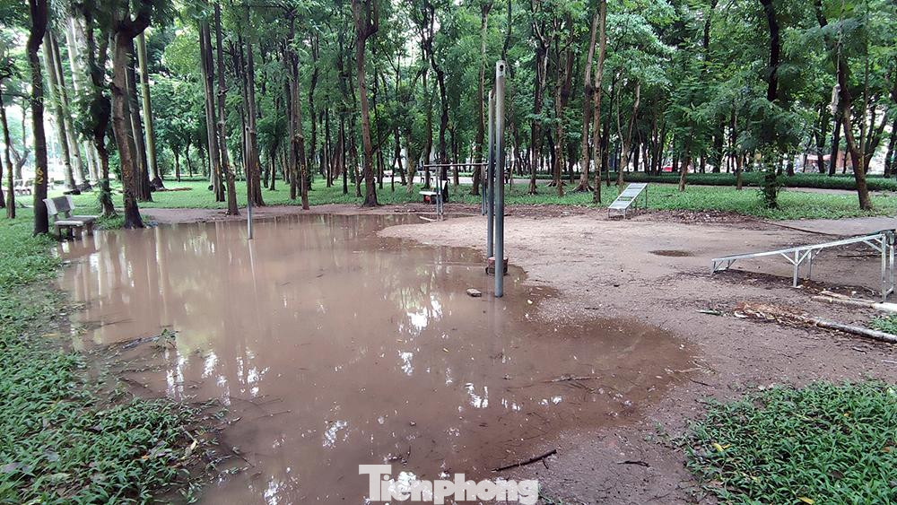 Ngay trong công viên, những vũng nước ứ đọng sau mỗi cơn mưa.