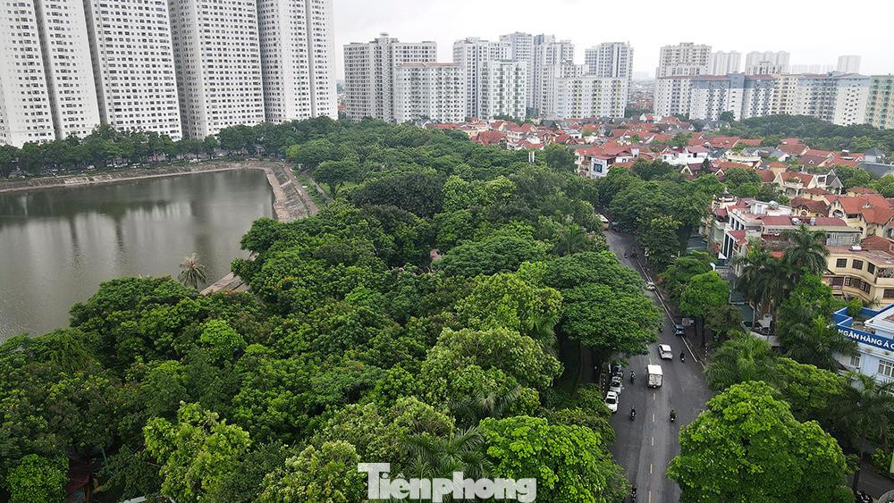 Những năm đầu đưa vào sử dụng, các hạng mục như vườn hoa, thảm cỏ, cây xanh cũng được chăm sóc chu đáo, nên công viên rất an toàn, sạch đẹp.