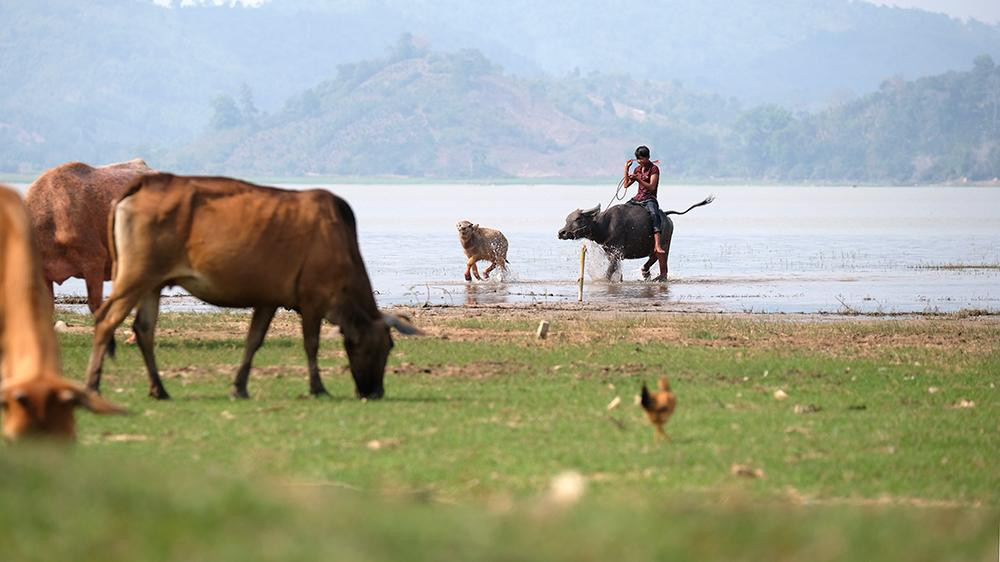 Du khách đến đây không chỉ tham quan hồ Lắk mà còn thưởng thức những nét văn hóa Tây Nguyên như điệu múa lửa, múa ngày mùa, diễn xướng cồng chiêng, tơ rưng, k'lông pút, đàn đá,cưỡi voi hoặc dùng thuyền độc mộc đi dạo trên hồ hoặc vượt qua hồ.
