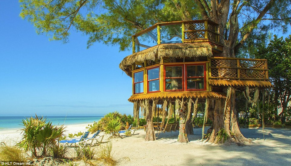 Ngôi nhà trên đảo Anna Mari, Florida, không chỉ cung cấp cho cư dân một cuộc sống trên cây, ngắm toàn cảnh biển màu ngọc lam và cát trắng ở trước cửa nhà