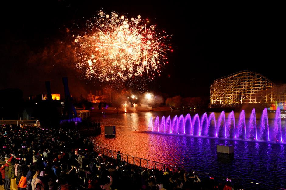 Việt Nam bước sang năm mới 2021 ảnh 4