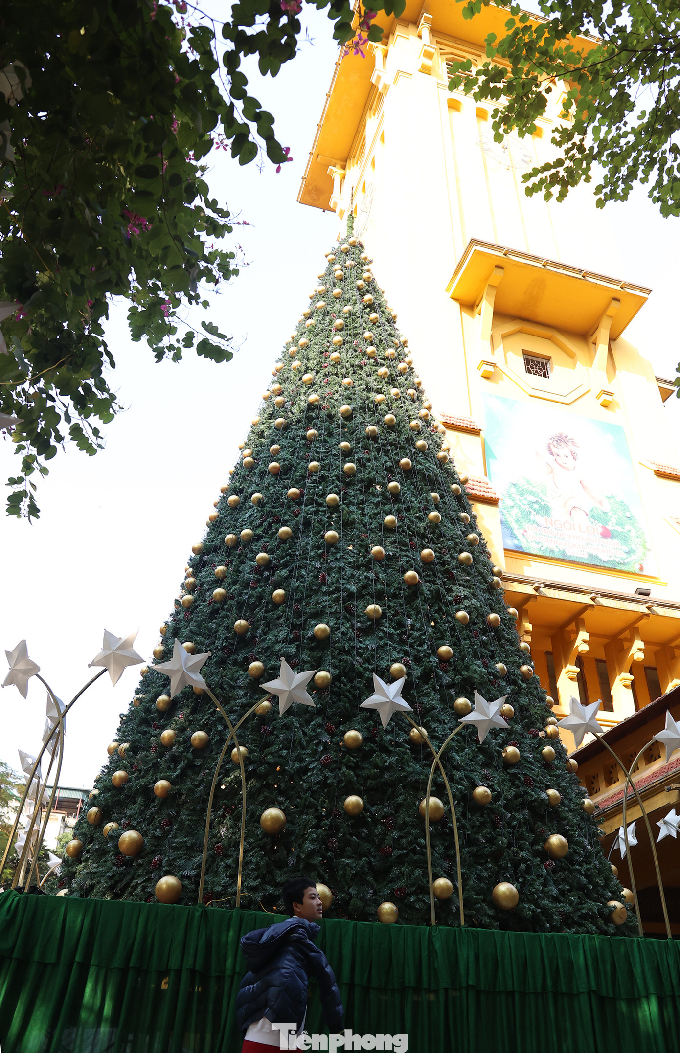 Cây thông Noel khổng lồ cao hơn 10m trang trí những bông hoa tuyết phát sáng đặt tại khuôn viên trước nhà thờ Cửa Bắc