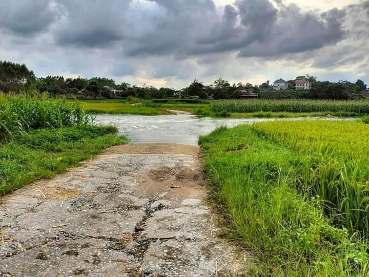 Khu vực nơi 3 bố con anh N.Q.T gặp nạn. Ảnh: CAND Khu vực nơi 3 bố con anh N.Q.T gặp nạn. Ảnh: CAND