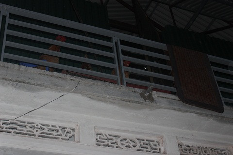 Nuôi gà trên tầng hai tránh lũ 